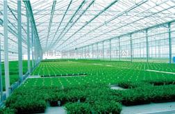 温室大棚 农业物联网解决方案 精准农业控制系统